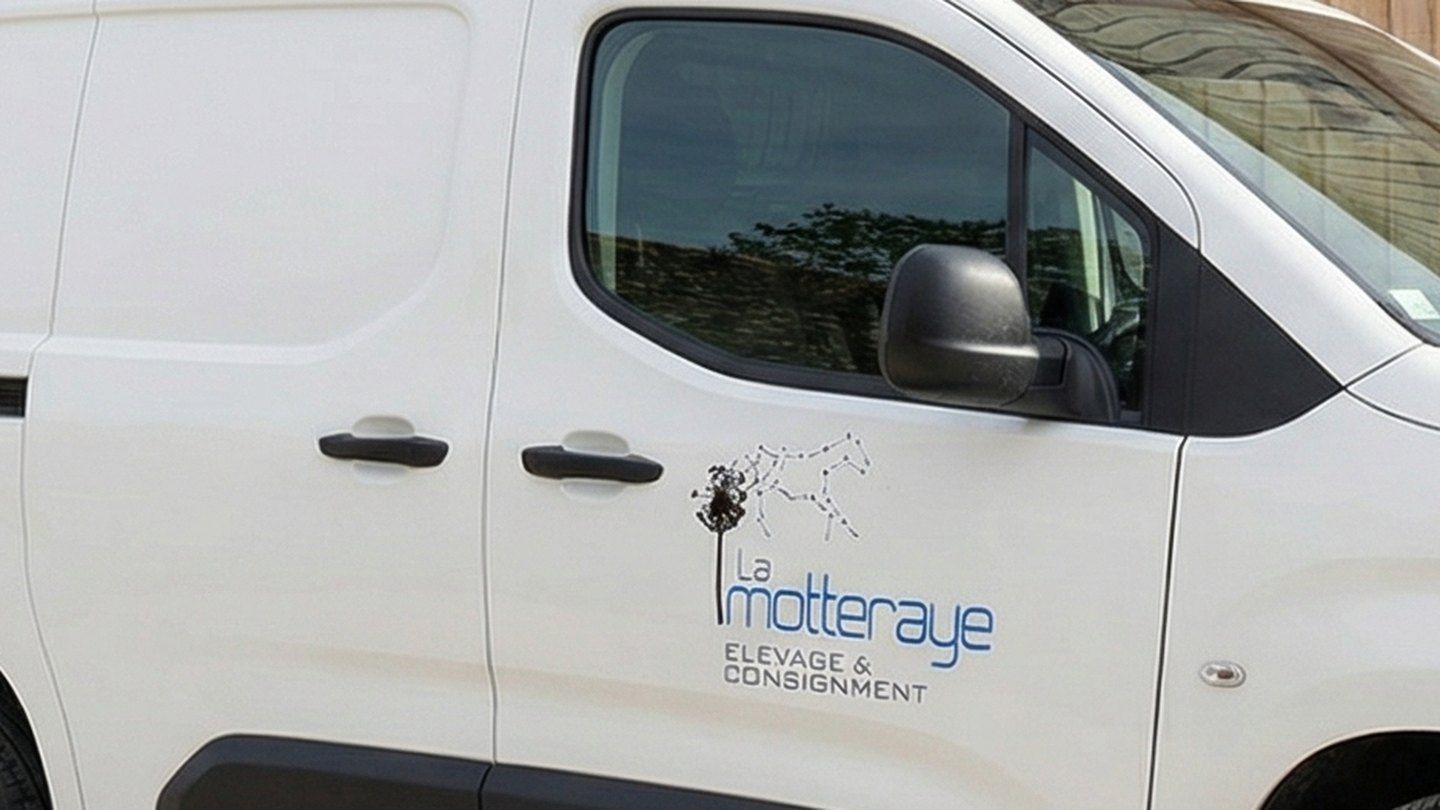 Détail du marquage adhésif posé sur la carrosserie
